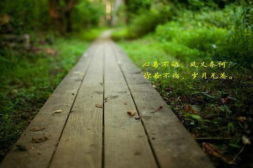 主角是苏凡的小说免费阅读全文大结局