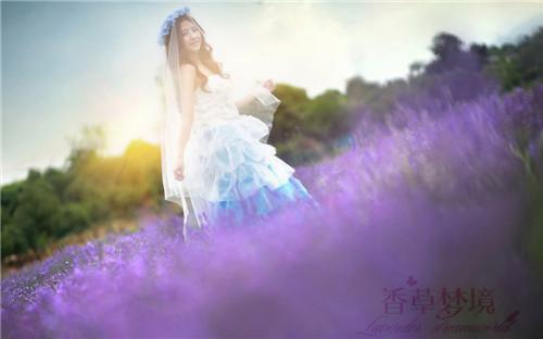 李玄苏涵免费全文 李玄苏涵小说在线阅读