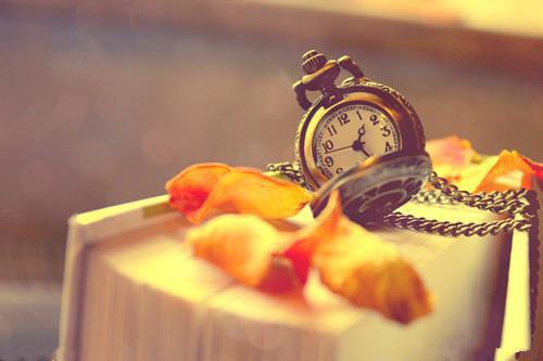 厉司琛叶繁是什么书 厉司琛叶繁免费章节在线阅读