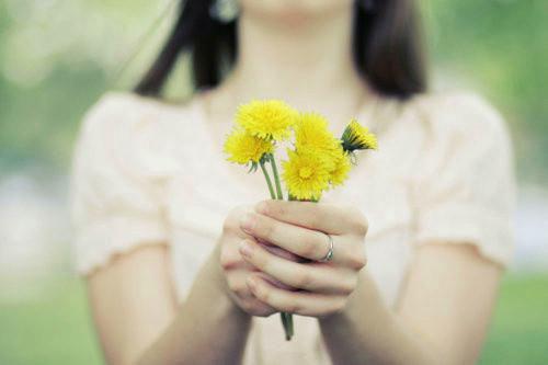 主角叫谢之川沈清书的小说 星河谋心在线看