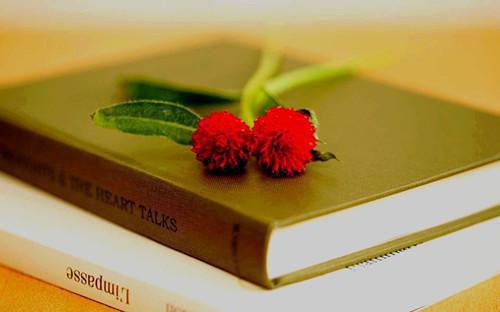 末世降临社恐丧尸她只想周游世界全文免费阅读_（颜肆林琳免费阅读无弹窗）末世降临社恐丧尸她只想周游世界最新章节列表