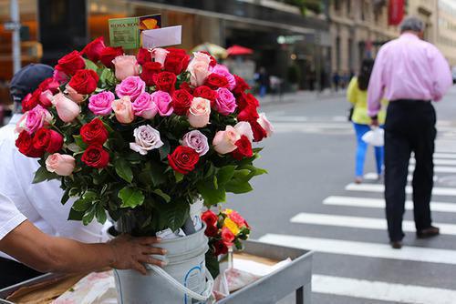 主角张无忌殷离小昭小说免费阅读最新章节