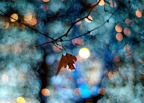 洛清念勒修辰小说 洛清念勒修辰免费全文阅读