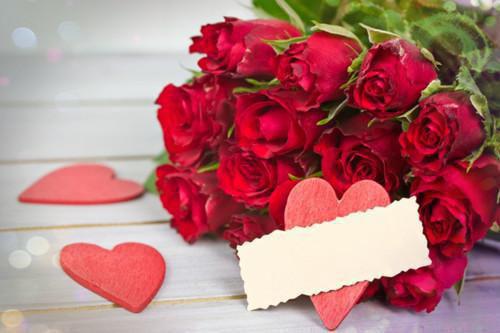 纪知苏冉商桑小说目录 纪知苏冉商桑完整免费版阅读