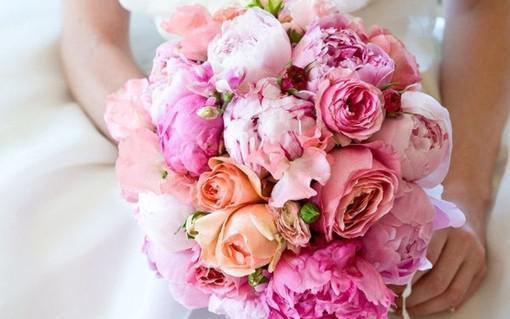 苏悦温棠小说免费试读 苏悦温棠