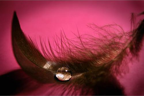 虞小姐的姻缘猫首发小说 虞归晚宋予安江慕白在线阅读