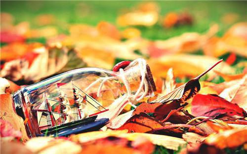 江月柳辰林兮羽小说 妈妈救我，我被爸爸锁车里了章节阅读