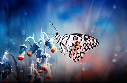 玖玖郑玖岚小说全免读 玖玖郑玖岚第四章在线阅读