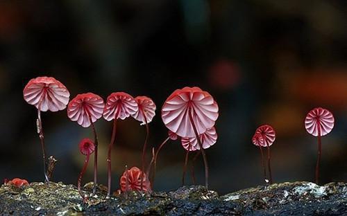 成为太后白月光向我自荐枕席小说(韩崇宋臣殊陈仲姜戎嫤李程)章节阅读