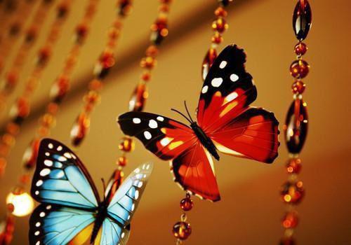 方娇周知承拾云小说叫什么名字 方娇周知承拾云全文免费阅读