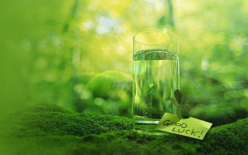 宋颜贺远谢寻小说最后结局 宋颜贺远谢寻完结版免费阅读