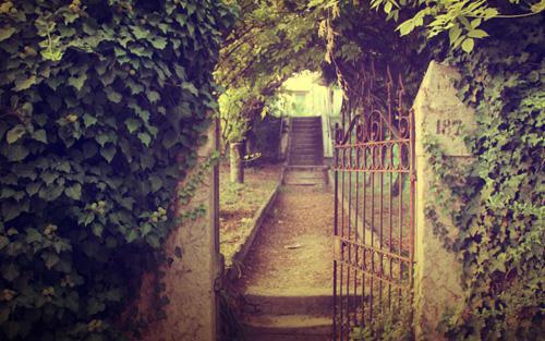 池长欢沈宴鹤简菲小说在哪里看 池长欢沈宴鹤简菲在线阅读第4章