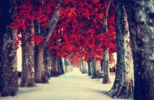 妻子带白月光住进我家，我杀疯了在线阅读全文 (元海洋闫小雅邵建东)小说无弹窗广告