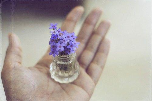 攻略男神失败？我告他非礼！林音霍景泽免费章节试读