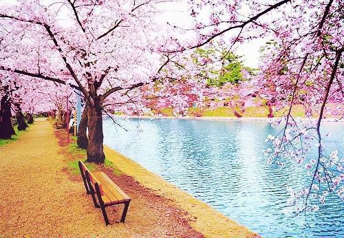 死在团圆那天全文阅读 李年年李岁岁免费阅读