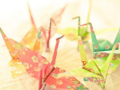 《沈南音顾晟淮小说》无弹窗全文免费阅读