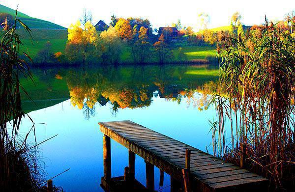 沈南嫣秦风季妍希小说叫什么名字 沈南嫣秦风季妍希全文免费阅读