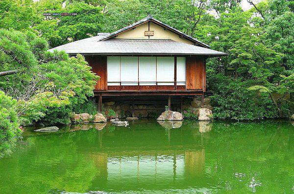 江悠江哲小说免费 江悠江哲第二章在线阅读