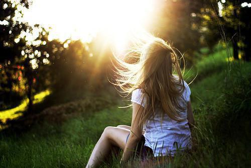 女屠户休了状元郎无弹窗阅读 赵兰芝沈元柳音小说