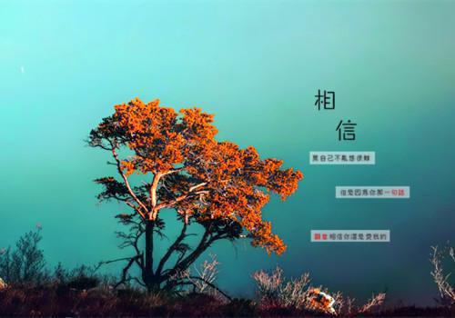 双面恋爱免费阅读闻识安叶夏欢沈景年沈鄞小说第3章