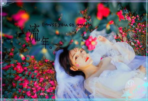 主角是冷宁雪赵氿渊的小说免费阅读全文大结局