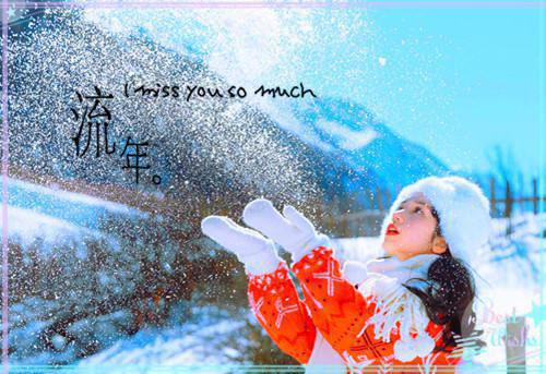 映月裴辞慕清欢全文免费大结局 映月裴辞慕清欢小说在线阅读