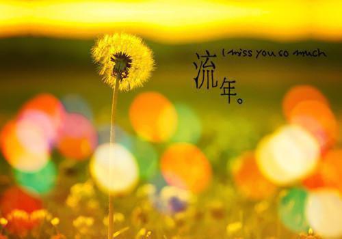 断柳小说全集 柳柔柳清之凤玄大结局在线阅读