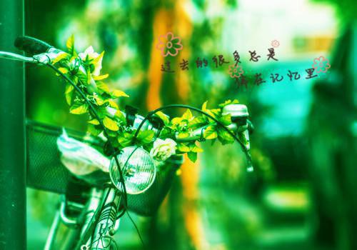 穿越兽世我在蛮荒点亮求生技能苏苒狼人大结局是什么