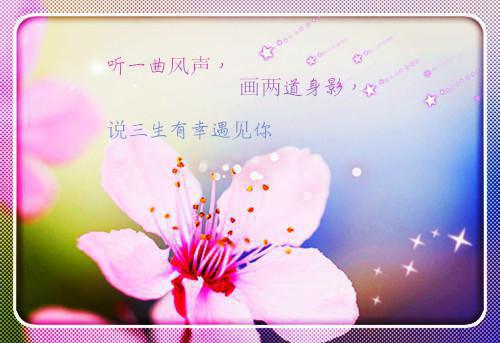 食堂起义校长小说免费试读