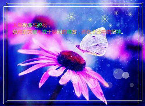 傅淮川顾曼曼全文最新章节正版小说免费阅读