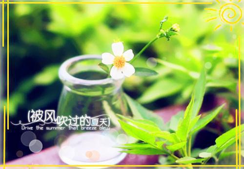 许柔陆瑾墨小说章节免费阅读 许柔陆瑾墨无弹窗