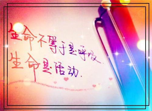 陆城许晴的故事 丈夫对害我的罪人因恨生爱章节阅读