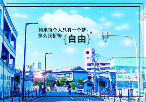 谢言叶思梦小说 谢言叶思梦免费章节阅读