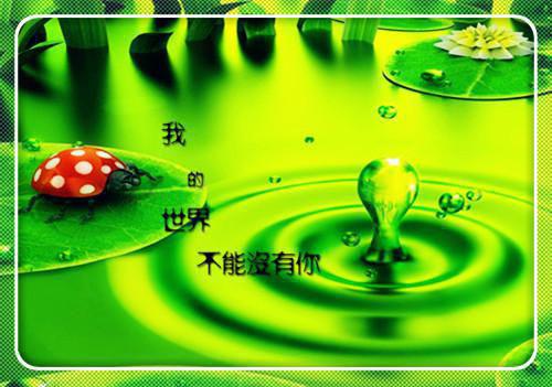 秦不悔小说最后结局 秦不悔完结版免费阅读