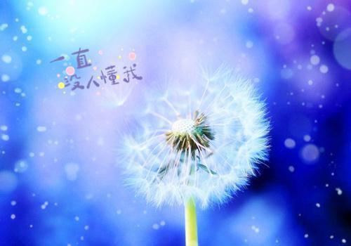 宁无缺穆云裳全文免费大结局 宁无缺穆云裳小说在线阅读