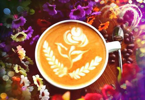 宋星澜楚晏礼免费全本小说 宋星澜楚晏礼章节目录