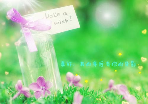 杨红枝严一万大结局在线阅读 在泥泞中盛开全本免费看