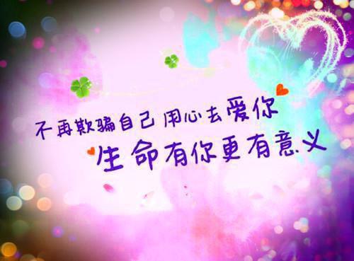 秦轻轻霍斯年（秦轻轻霍斯年）全文免费阅读无弹窗大结局_（秦轻轻霍斯年）最新章节列表