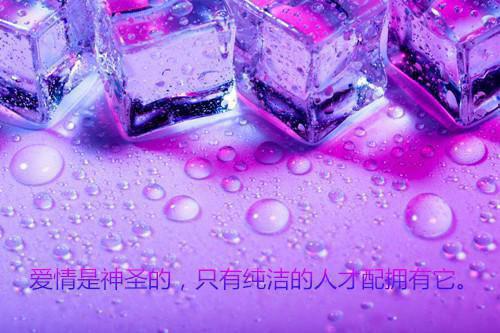 赵茉莉贾青云最新章节免费 赵茉莉贾青云第一章在线阅读