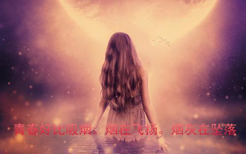 沈辉(娱乐老司机)全文免费阅读无弹窗大结局_沈辉免费阅读最新章节列表