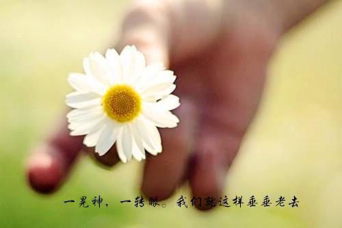 穆聿风魏依依（穆聿风魏依依）最新热门小说-穆聿风魏依依免费阅读