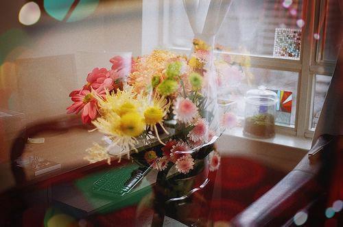 林音茵傅司柒傅司柒林音茵小说全文在线阅读无弹窗大结局_（傅司柒林音茵全文在线阅读无弹窗）