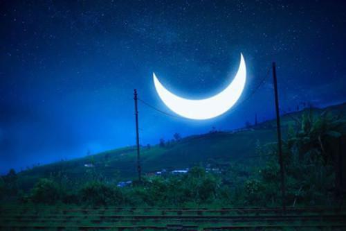 顾若尘温馨小说阅读 顾若尘温馨全文免费无广告