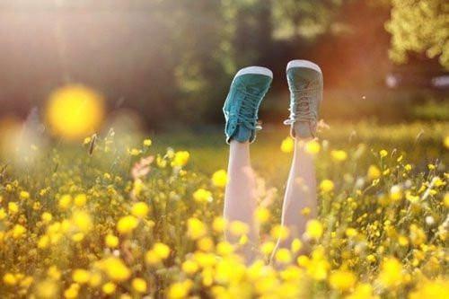 秀秀秦放言言小说阅读全文 重生后我让妹妹嫁给重度病娇在线免费阅读