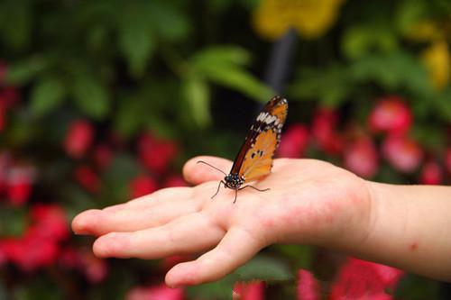 王宇嘉孙铭东大结局免费阅读 王宇嘉孙铭东全文小说