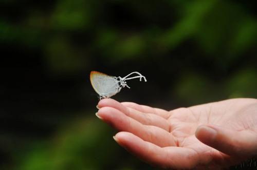 沈瑶陆渊小说免费试读 沈瑶陆渊第3章