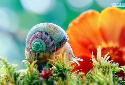 夏清茹威长渊小说名字 夏清茹威长渊全文免费阅读