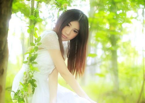 秦鹭沈承风全文阅读最新 秦鹭沈承风小说目录