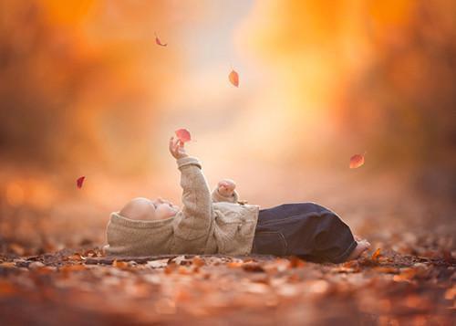 许雾周绵绵陆言姜止什么小说 许雾周绵绵陆言姜止全文免费阅读