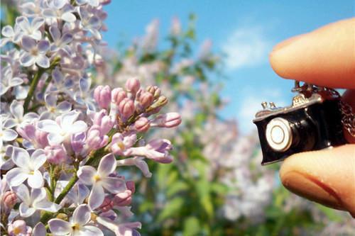 我只要名分，你觊觎我身？小说完整版 江意厉霆聿在线阅读